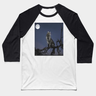 Who stole the night? Baseball T-Shirt